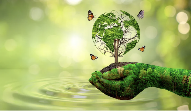 capture d’écran 2025 12 05 à 10.32.59