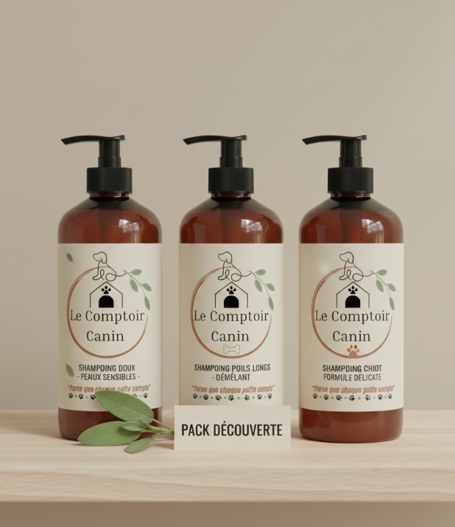 capture d’écran 2025 12 05 à 11.45.15