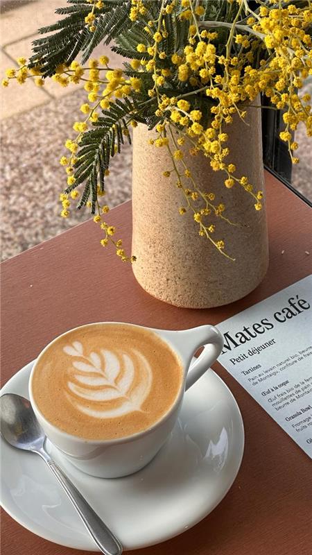 Home 41ae57fd-3a6b-42fb-b913-1ee97c686348